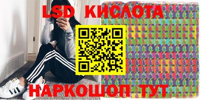 стаф Кулебаки