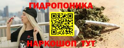 стаф Кулебаки