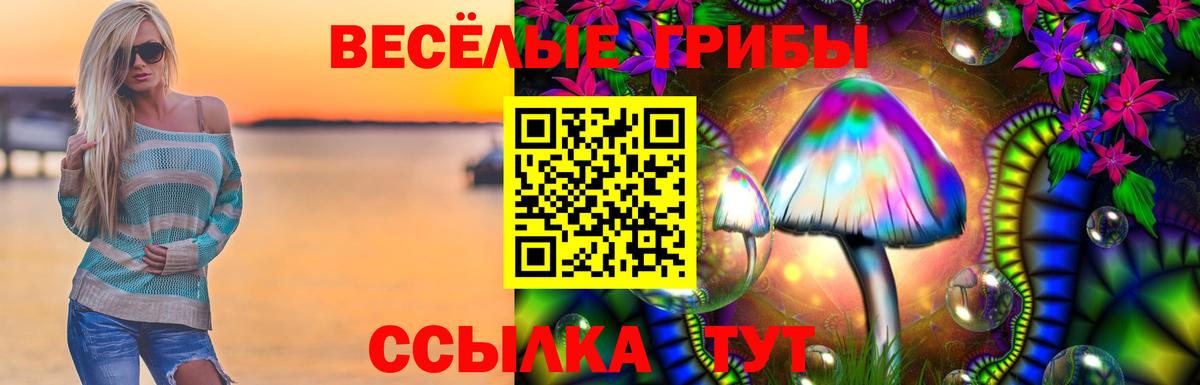 Грязи  Галлюциногенные грибы Magic Shrooms  Вход с VPN 