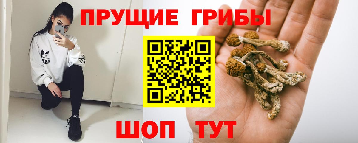 Галлюциногенные грибы ЛСД Грязи